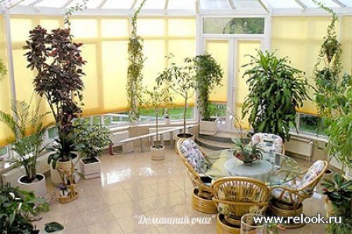Зимний сад в интерьере. 03 Зимний сад в интерьере. 03