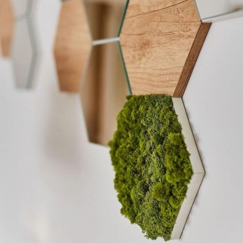 СТАБИЛИЗИРОВАННЫИ Мох в интерьере. 02