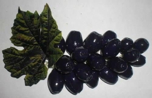 Мы делаем виноградную кисть из желудей. 05