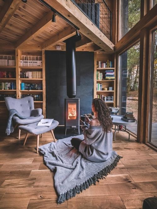 Домик на краю леса со ставнями во всю стену. 02