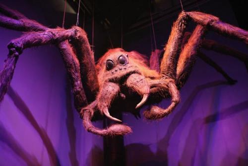 Как снимался Гарри Поттер? 02