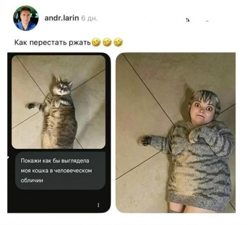 Нейросети устроили новый тренд - пользователи массово превращают своих домашних питомцев в людей. 

