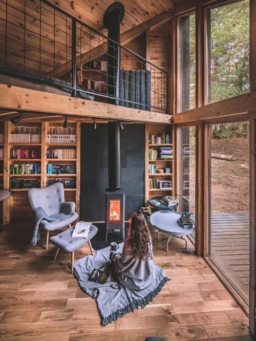 Домик на краю леса со ставнями во всю стену. 04