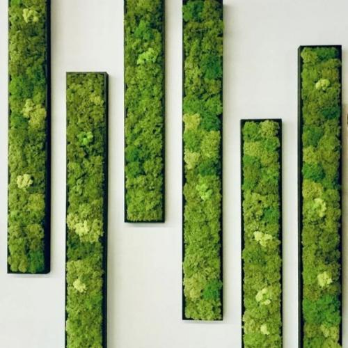 СТАБИЛИЗИРОВАННЫИ Мох в интерьере. 04