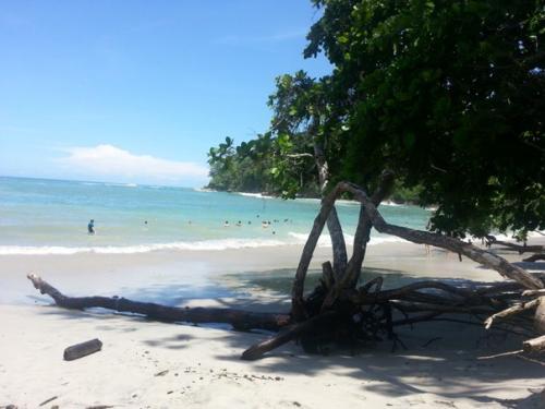 Коста-рика - центрально - американская швейцари. 02