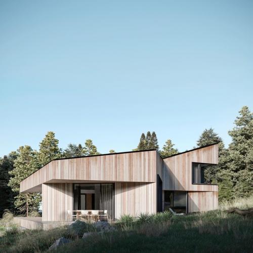 Современная архитектура, сауна прямо в центре дома и живописное лесное окружение - интригует, да? 02