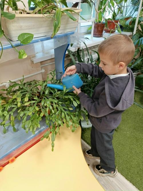 Парциальная программа Семья - это Мы. Парциальная программа Семья - это Мы.