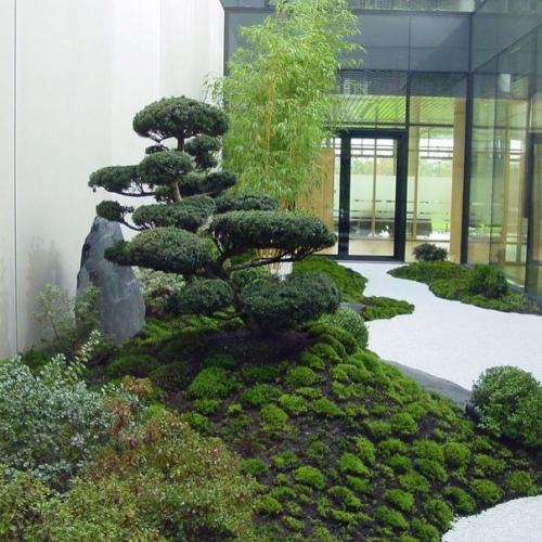 СТАБИЛИЗИРОВАННЫИ Мох в интерьере. 01