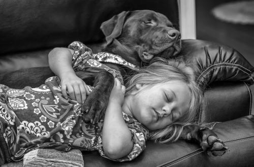 Как снимать домашних животных. 09