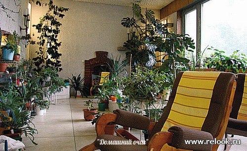 Зимний сад в интерьере. 02 Зимний сад в интерьере. 02