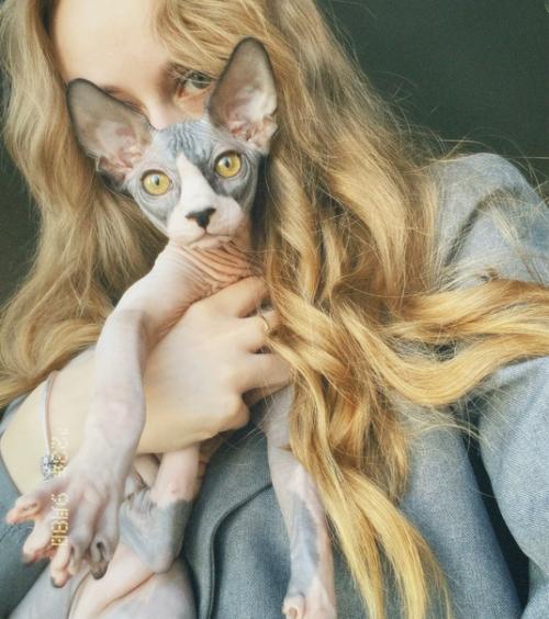 Я как-то всю жизнь по собакам была, а тут появился он - маленький, лысый, всегда голодный и орущий. 01