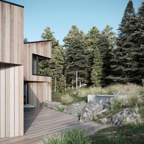 Современная архитектура, сауна прямо в центре дома и живописное лесное окружение - интригует, да? 05