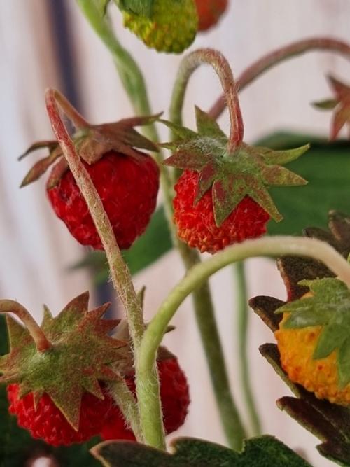 Вот и готова моя земляничка, ещё и с маленьким жителем, тоже моих рук дело! 02