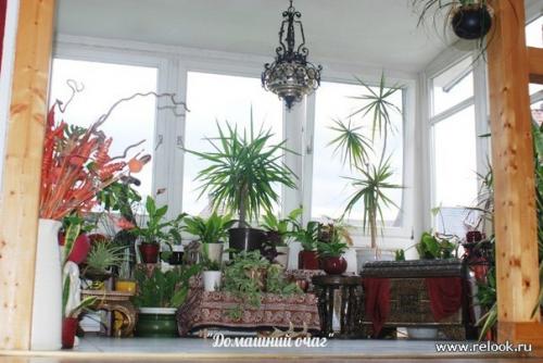 Зимний сад в интерьере. 04 Зимний сад в интерьере. 04