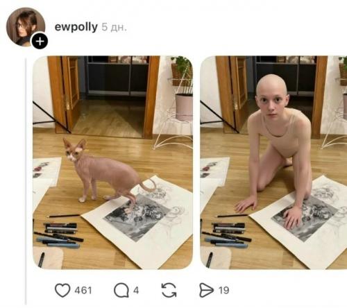 Нейросети устроили новый тренд - пользователи массово превращают своих домашних питомцев в людей. 03