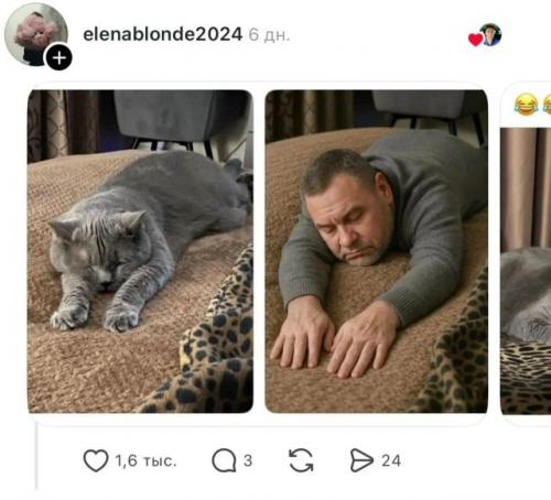 Нейросети устроили новый тренд - пользователи массово превращают своих домашних питомцев в людей. 04