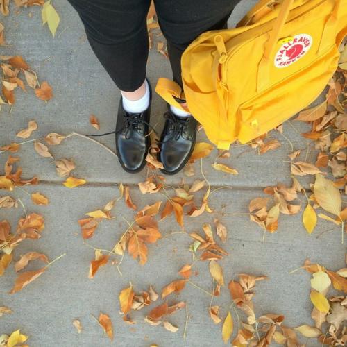 Осенняя атмосфера: 11 способов создать осенний уют? 01