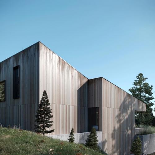 Современная архитектура, сауна прямо в центре дома и живописное лесное окружение - интригует, да? 04