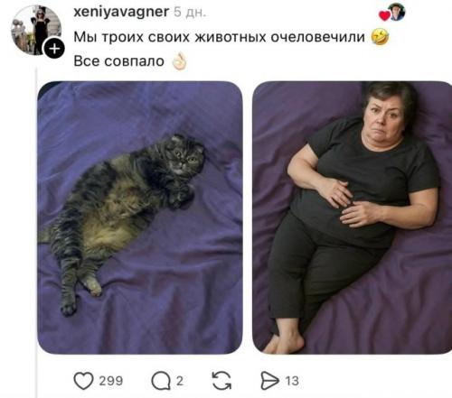 Нейросети устроили новый тренд - пользователи массово превращают своих домашних питомцев в людей. 07