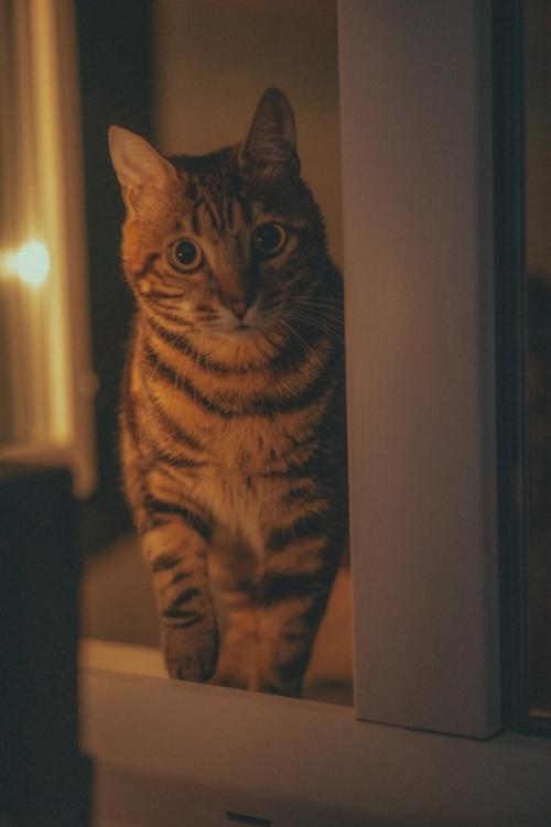 Ах как бы хотелось одним взмахом волшебной палочки, осуществить мечту заказчика. 07