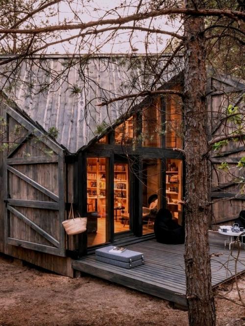 Домик на краю леса со ставнями во всю стену. 07