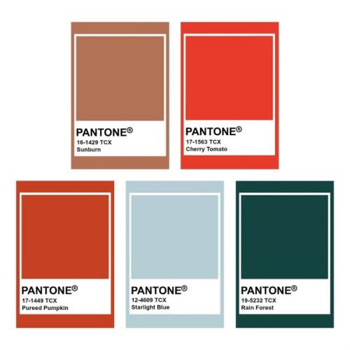 Ломаете голову, в какой палитре оформить интерьер? 01