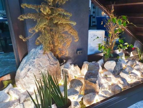 Растения без света: кто выживет, а кого не стоит мучить. 05