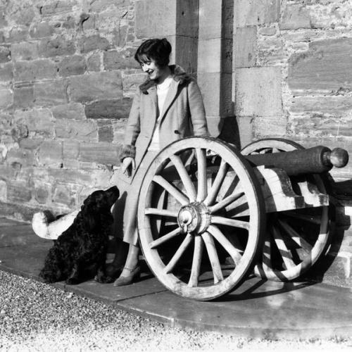 Замок глэмис (англ. 05