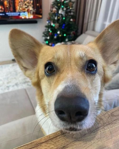 Мы тоже закончили ремонтировать нашу квартиру. 03