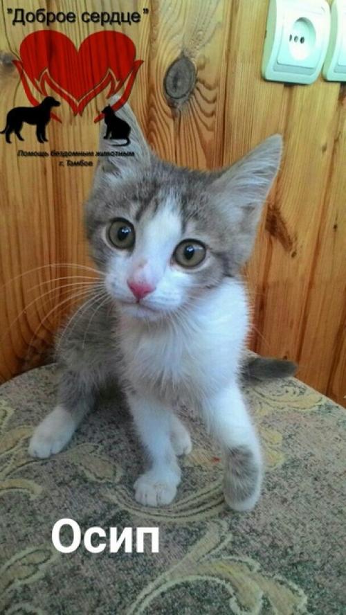 Субботнеечтиво.

Идей с рубриками у нас было много, но так случилось, что особого отклика они не нашли. 
