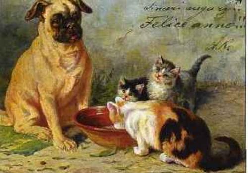 Кошки, приносящие счастье. 04