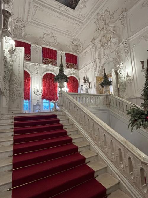 Царское село встречает нас новогодней елкой и красивой подсветкой екатерининского дворца в предрассветный час. 05