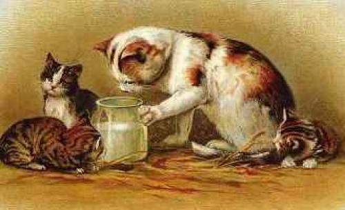 Кошки, приносящие счастье. 05