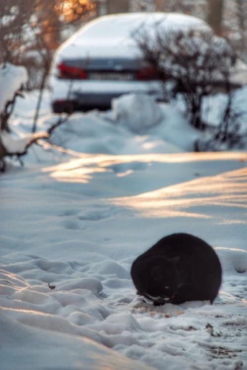 Усадьба валуево, новая Москва. 05