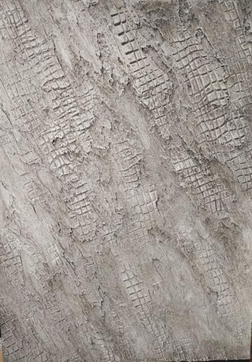 Трафареты давно завоевали почетное место на акцентных стенах самых разных стилей - от смелого лофта до нестареющей классики. 02