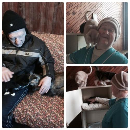 Мороз и солнце - день чудесный! 03