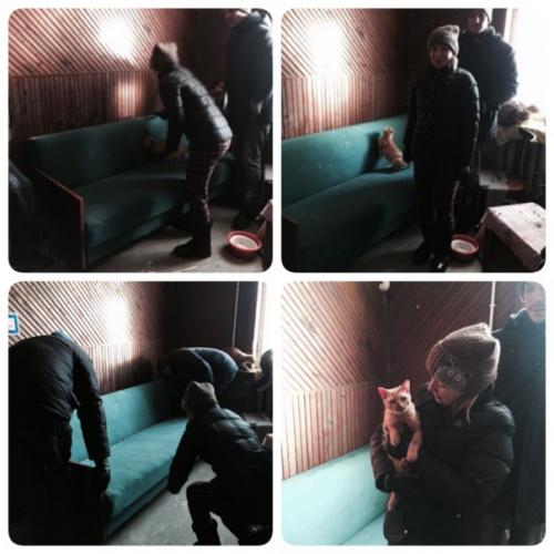 Мороз и солнце - день чудесный! 02