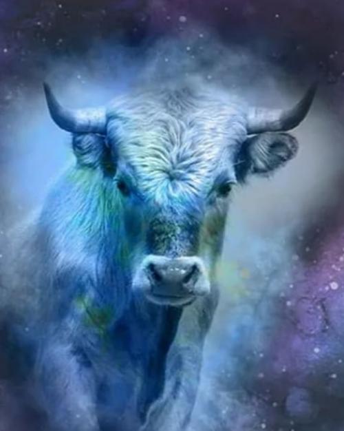 Чем новый год быка будет лучше года крысы и немножечко советов как его задобрить.