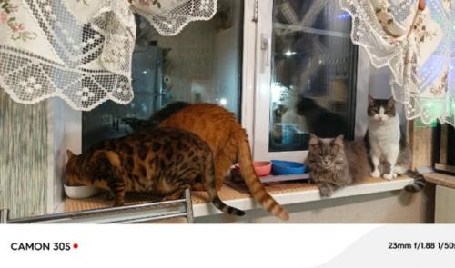 Субботнеечтиво. Идей с рубриками у нас было много, но так случилось, что особого отклика они не нашли. 01 Субботнеечтиво. Идей с рубриками у нас было много, но так случилось, что особого отклика они не нашли. 01