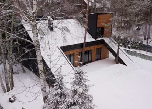 Маскировка для сфинкса. 05