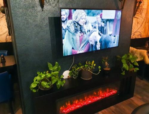 Растения без света: кто выживет, а кого не стоит мучить. 04