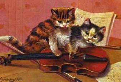 Кошки, приносящие счастье. 02