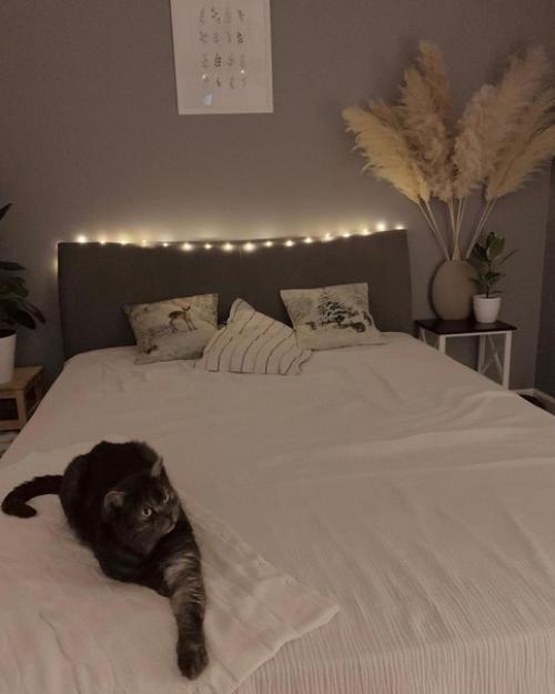 Идеальная квартирка для холостяка или молодой пары без детей. 02