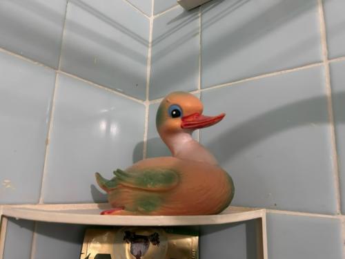 Возвращаемся к вам после затяжных каникул с очередными наивными размышлениями. 03