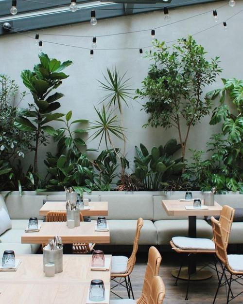 10 самых зелёных кафе Петербурга. 01