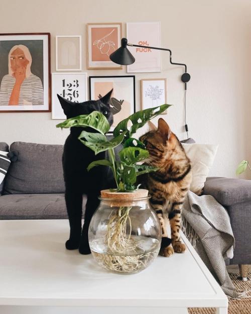 Как глоток свежего воздуха: детали яркого интерьера дома в скандинавском стиле. 02