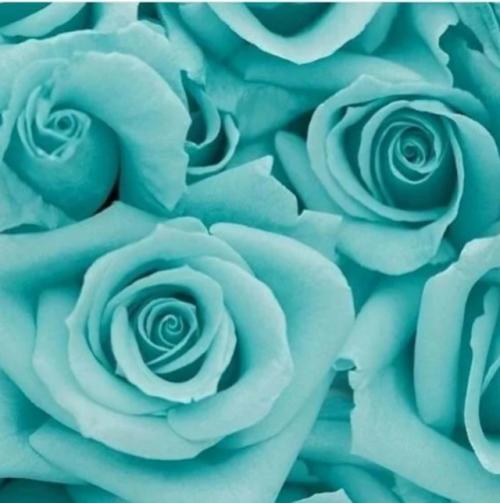 Цветотерапия от стресса. 01 Цветотерапия от стресса. 01