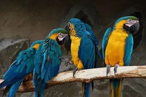 Топ - 10 мест где стоит побывать. 07