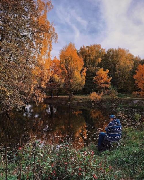 Таким образом, если проехать по нашей ветке несколько станций можно оказаться в сказочном тимирязевском парке. 06