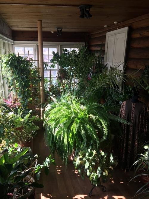 Вот это экскурсия. 01